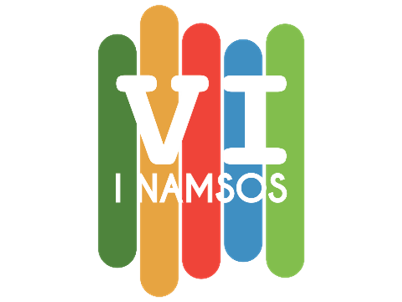 vi_i_namsos